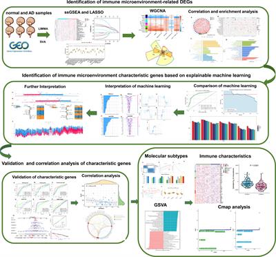 Identification of immune microenvironment subtypes and signature genes for Alzheimer’s disease diagnosis and risk prediction based on explainable machine learning